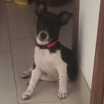 Frank Lux - @lux2400 - Instagram