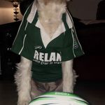 Frank Lyons - @franklyons8 - Instagram