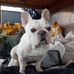 Frank Lyons - Facebook