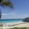 franklysontay - @franklysontay - TikTok