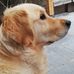 Frank Maas - Facebook