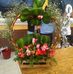 Francis Frank Mach - Facebook