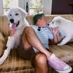 @frank_maclean6 - Instagram