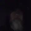 Frank Madison - @frank.madison3 - TikTok
