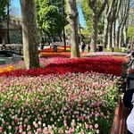 Frank Johannes Madsen - @frankjohannesmadsen - Instagram