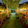 magictouchevents_frank0 frank - @magictouchevents_frank0 - TikTok