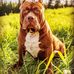 Frank Main - Facebook
