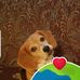 Frank Mansfield - Facebook