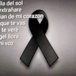 Frank Manzo - @frankcaballero65 - Instagram