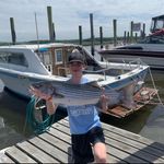 Frank Manzo - @zoslayin - Instagram