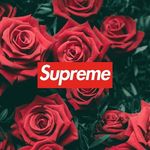 frankmanzo - @frankiemanzo05 - Instagram