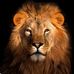 Frank Marley - Facebook