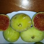 Frank Marrone - @figtreesplus - Instagram