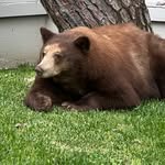 Frank Marrone - @plumberfrank73 - Instagram