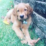 Frank & Marvin - @frankandmarvin - Instagram
