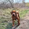 frankmastwijk - @frankmastwijk - TikTok