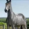 frank mateo - @frank.mateo737 - TikTok