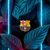 Mateo frank - @mateo.frank177 - TikTok