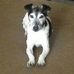 Frank Mather - Facebook
