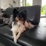 Frank Mattern - @frank_mattern2022 - Instagram