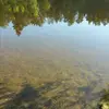frankmattern8 - @frankmattern8 - TikTok
