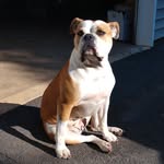 Frank Mauldin - @mauldinfrank - Instagram