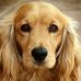 Frank J Maxwell - Facebook