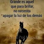 Frank Maya - @frank.maya.31 - Instagram