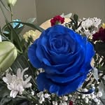 Laura Frank Maynard - @laura_bain_3169 - Instagram