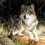 Frank McArdle - @spiritwo071 - Instagram