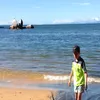 frankie.mcardle - @frankie.mcardle - TikTok