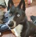 Frank McClain - Facebook