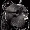Frank Mccrea - @frank.mccrea - TikTok