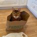 Frank McCrea - Facebook
