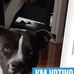 Franklin Mccune - Facebook