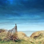 Frank McGuire - @frankmcguire49 - Instagram
