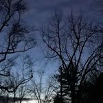 Frank McNally - @frankmcnuggz - Instagram
