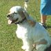 Frank Mears - Facebook