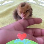 Frank Merrill - @5273.fran - Instagram