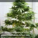 Frank Michaelis - @frankmichaelis40 - Instagram