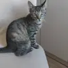 frankmichaelis47 - @frankmichaelis47 - TikTok