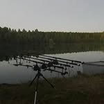 Frank Michels - @frank.michels31 - Instagram