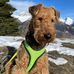 Frank Milner - Facebook