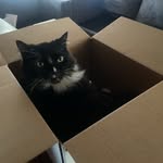 Frank mintz - @mintz_frank - Instagram
