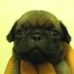 Frank Mizer - Facebook