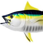 Frank Mohammed - @yellowfinseafood21 - Instagram