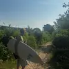 Frank - @frankmonk10 - TikTok