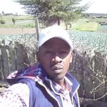 Kamau Frank - @frank.muchachu.33 - Instagram
