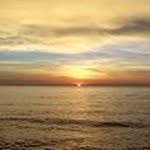 Frank Muir - @muirfrank - Instagram