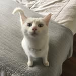 @frankie.mullaney - Instagram